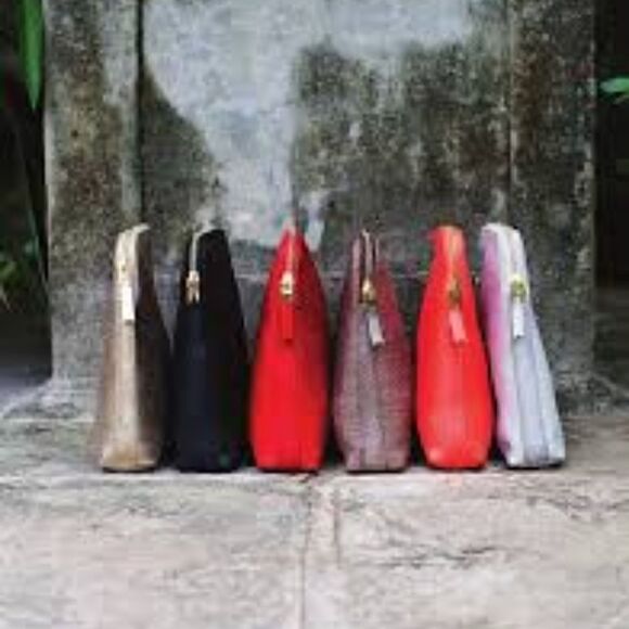 India Hicks Insider - Island Gecko